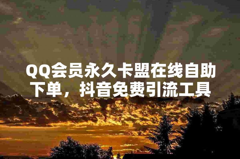 QQ会员永久卡盟在线自助下单，抖音免费引流工具安卓版。
