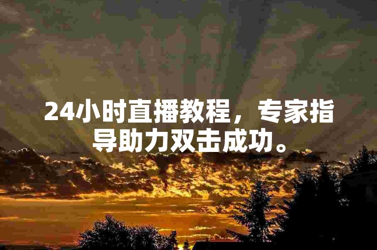24小时直播教程，专家指导助力双击成功。