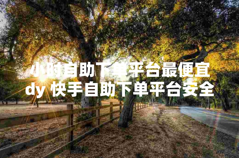 小时自助下单平台最便宜dy 快手自助下单平台安全