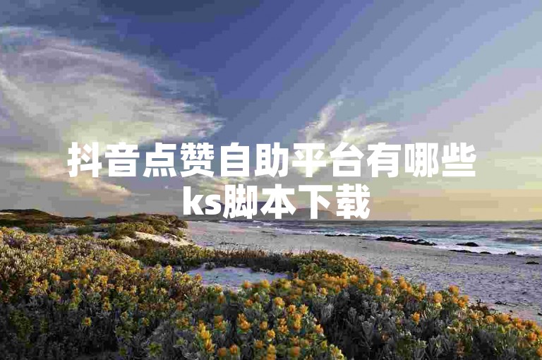 抖音点赞自助平台有哪些 ks脚本下载