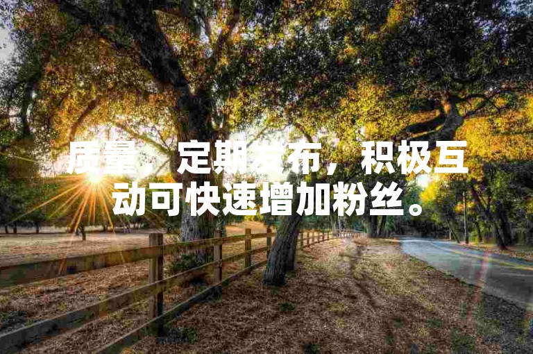 质量，定期发布，积极互动可快速增加粉丝。