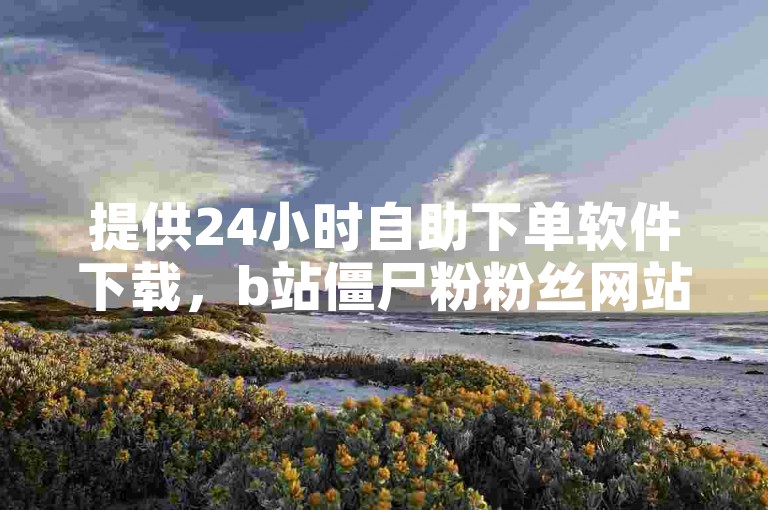 提供24小时自助下单软件下载，b站僵尸粉粉丝网站。