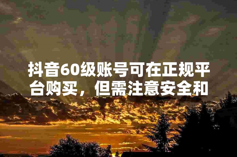 抖音60级账号可在正规平台购买，但需注意安全和合规性。