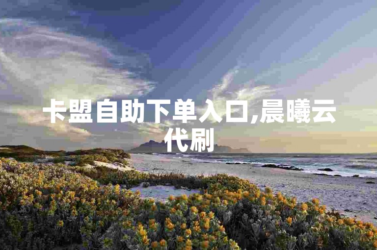卡盟自助下单入口,晨曦云代刷