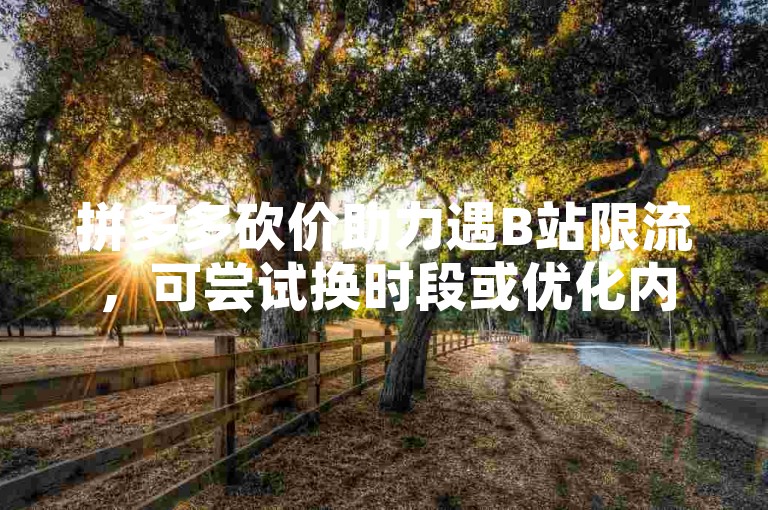 拼多多砍价助力遇B站限流，可尝试换时段或优化内容。