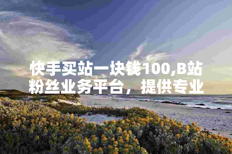 快手买站一块钱100,B站粉丝业务平台，提供专业服务。