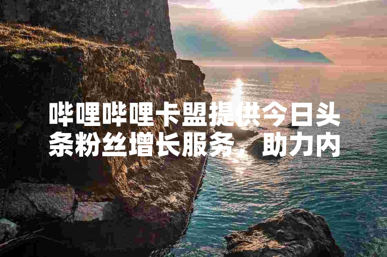 哔哩哔哩卡盟提供今日头条粉丝增长服务，助力内容推广。