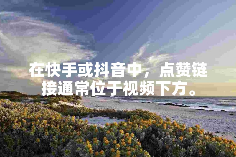 在快手或抖音中，点赞链接通常位于视频下方。