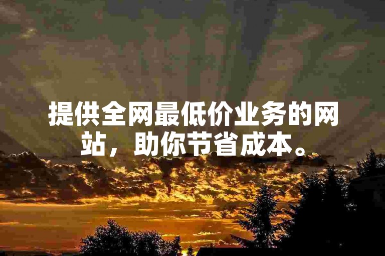 提供全网最低价业务的网站，助你节省成本。