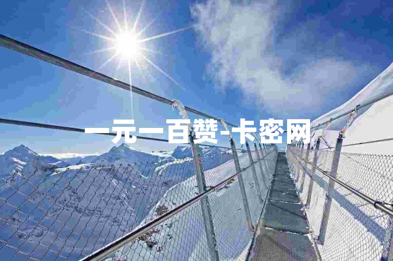 一元一百赞-卡密网
