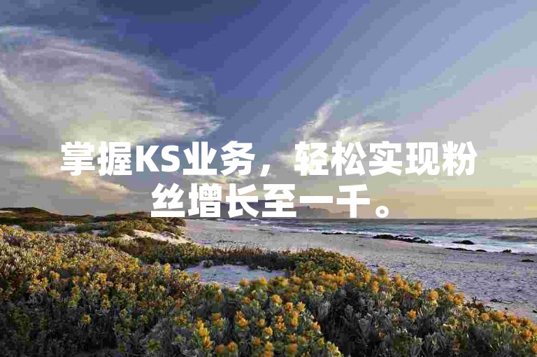 掌握KS业务,轻松实现粉丝增长至一千。