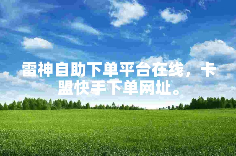 雷神自助下单平台在线，卡盟快手下单网址。