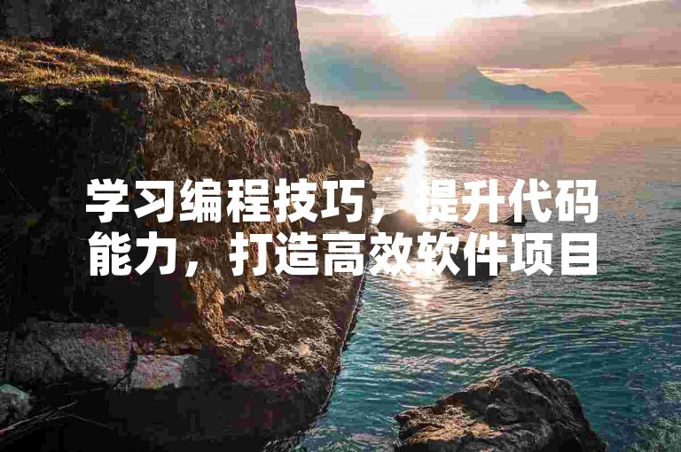 学习编程技巧，提升代码能力，打造高效软件项目。