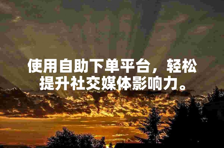 使用自助下单平台，轻松提升社交媒体影响力。