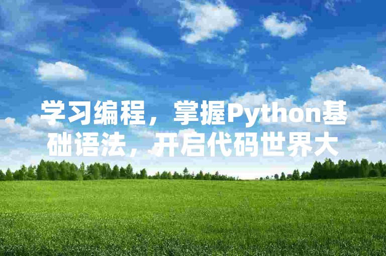 学习编程，掌握Python基础语法，开启代码世界大门。