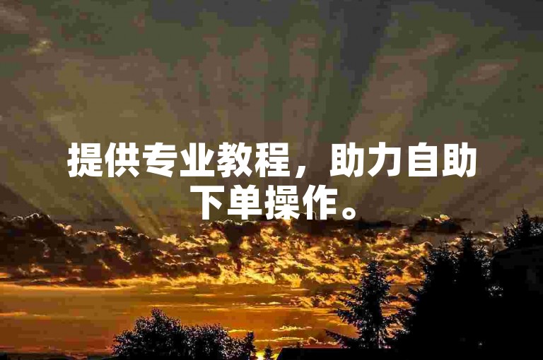 提供专业教程，助力自助下单操作。