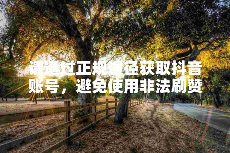 请通过正规途径获取抖音账号，避免使用非法刷赞服务。