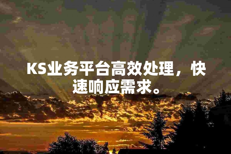 KS业务平台高效处理，快速响应需求。
