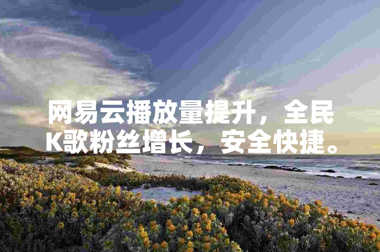 网易云播放量提升,全民K歌粉丝增长,安全快捷。