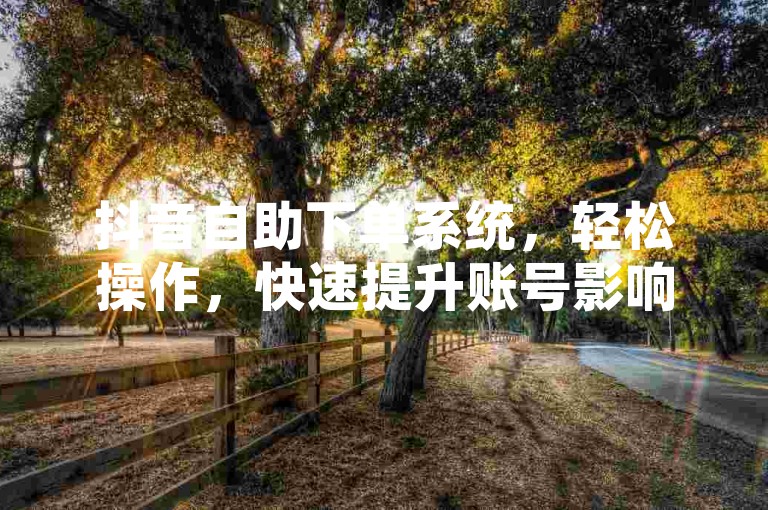 抖音自助下单系统，轻松操作，快速提升账号影响力。