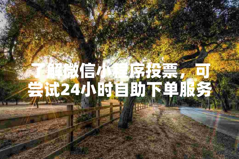 了解微信小程序投票，可尝试24小时自助下单服务。