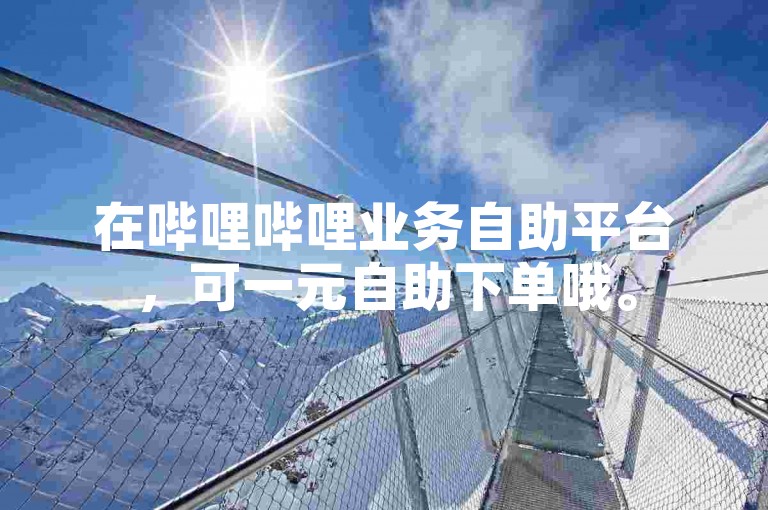 在哔哩哔哩业务自助平台，可一元自助下单哦。
