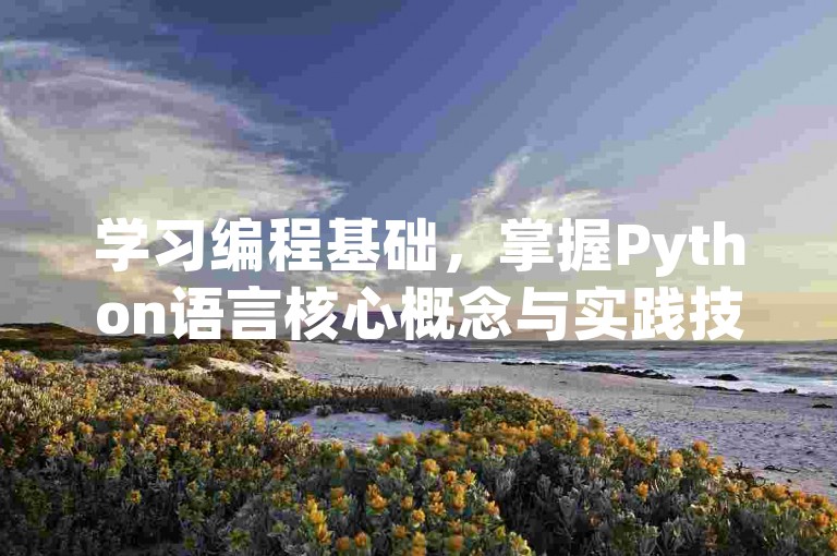 学习编程基础，掌握Python语言核心概念与实践技巧。