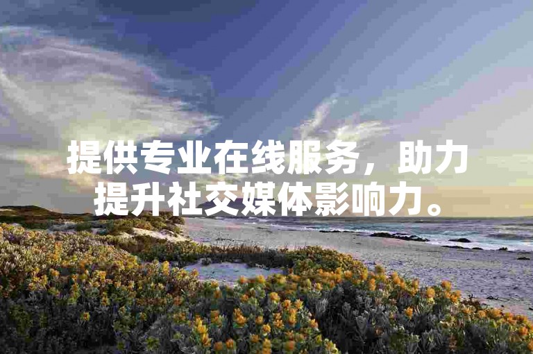 提供专业在线服务，助力提升社交媒体影响力。