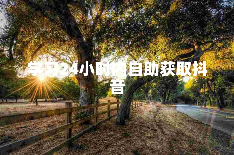 学习24小时内自助获取抖音50赞的有效方法。