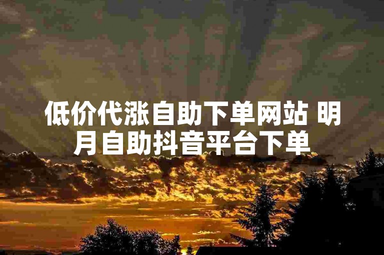 低价代涨自助下单网站 明月自助抖音平台下单