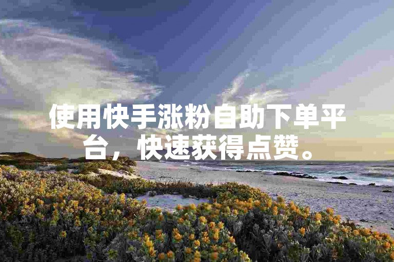 使用快手涨粉自助下单平台,快速获得点赞。