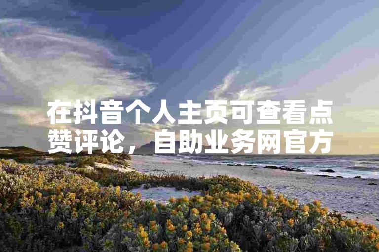 在抖音个人主页可查看点赞评论，自助业务网官方能提供相关帮助。