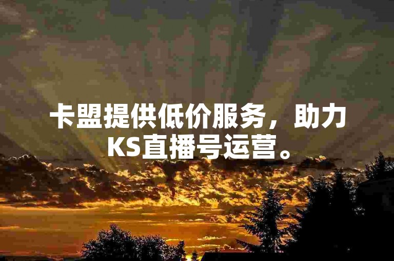 卡盟提供低价服务,助力KS直播号运营。