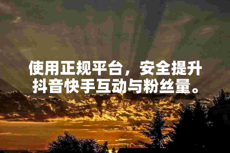 使用正规平台，安全提升抖音快手互动与粉丝量。