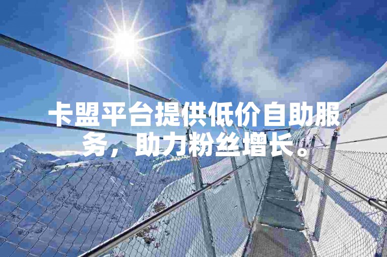 卡盟平台提供低价自助服务，助力粉丝增长。
