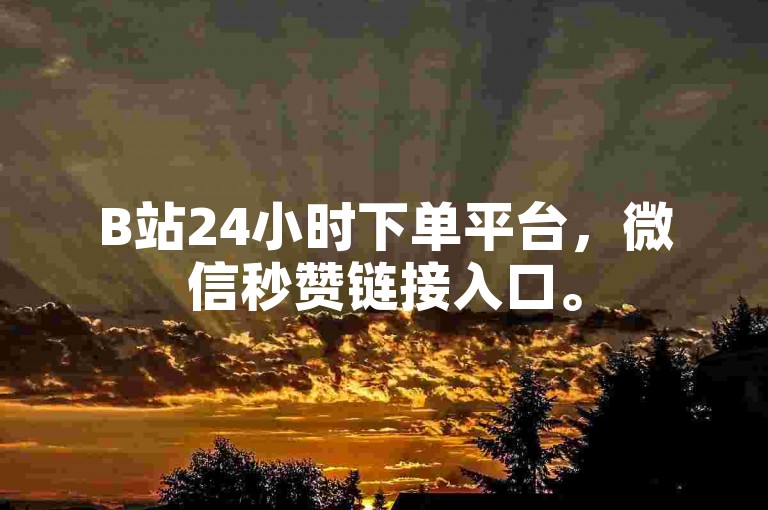 B站24小时下单平台，微信秒赞链接入口。