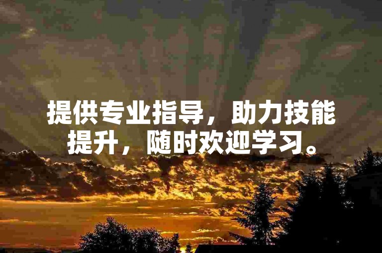 提供专业指导，助力技能提升，随时欢迎学习。