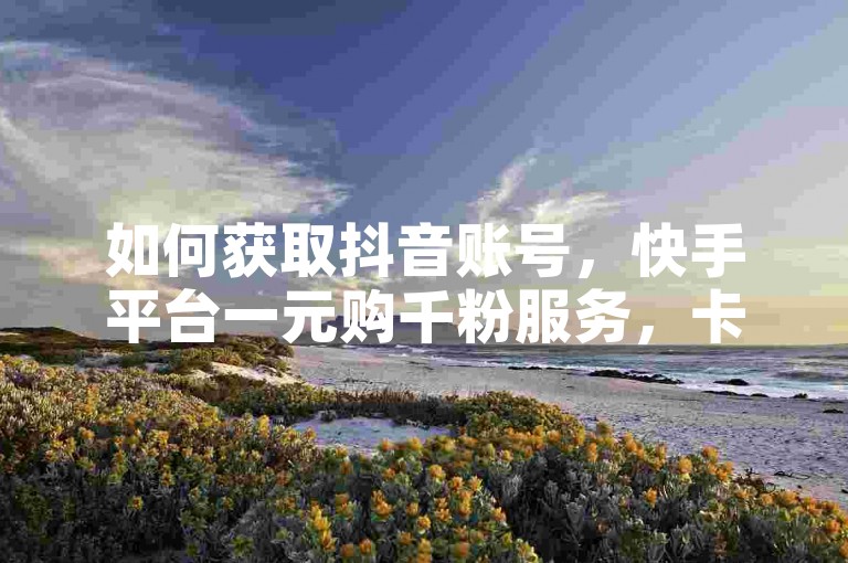 如何获取抖音账号，快手平台一元购千粉服务，卡盟提供全网资源。