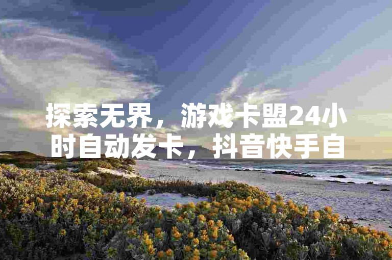 探索无界，游戏卡盟24小时自动发卡，抖音快手自助服务。