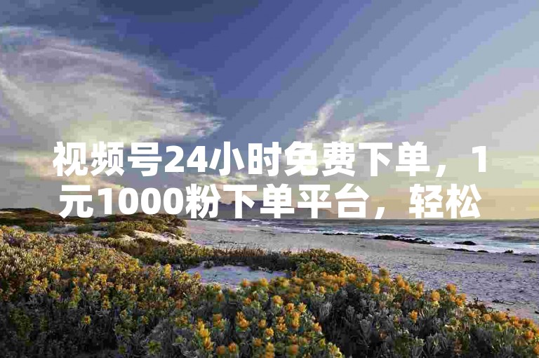 视频号24小时免费下单，1元1000粉下单平台，轻松涨粉无压力。