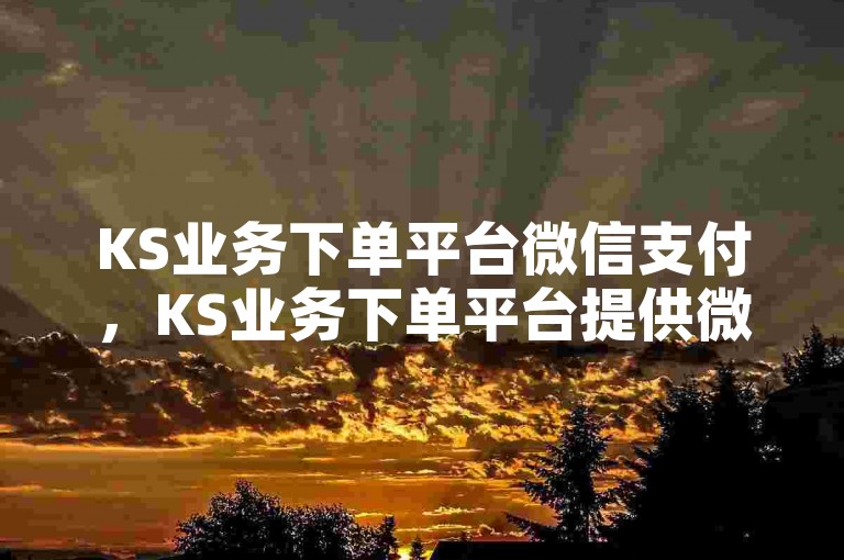 KS业务下单平台微信支付，KS业务下单平台提供微信支付选项。