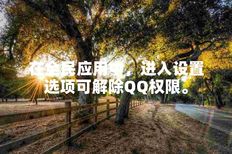 在全民应用中，进入设置选项可解除QQ权限。