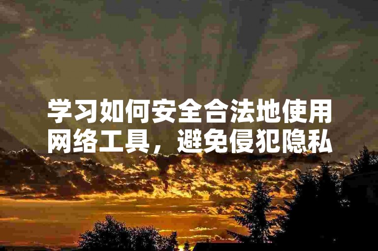 学习如何安全合法地使用网络工具，避免侵犯隐私。