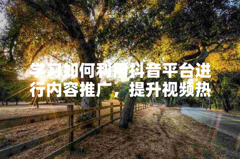 学习如何利用抖音平台进行内容推广，提升视频热度。