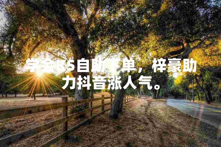 学会KS自助下单，梓豪助力抖音涨人气。