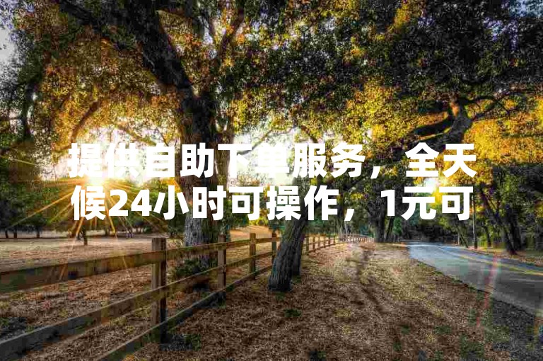 提供自助下单服务，全天候24小时可操作，1元可提升1000粉丝量。