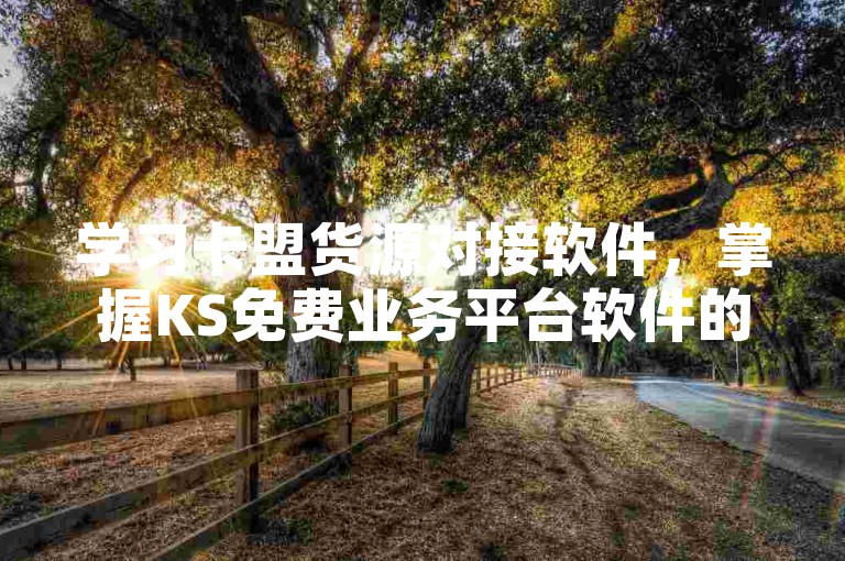 学习卡盟货源对接软件，掌握KS免费业务平台软件的使用方法。