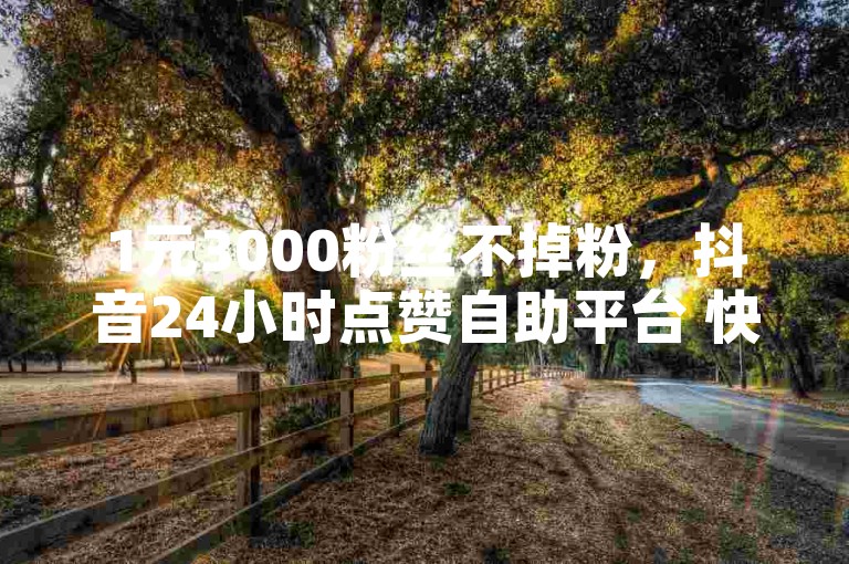 1元3000粉丝不掉粉，抖音24小时点赞自助平台 快手业务网站 快手全网最低价震撼爆料