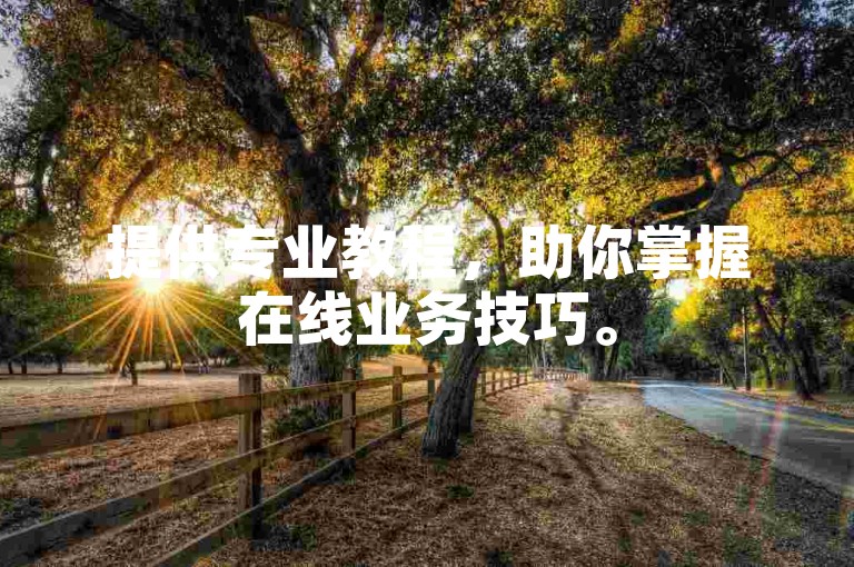 提供专业教程，助你掌握在线业务技巧。