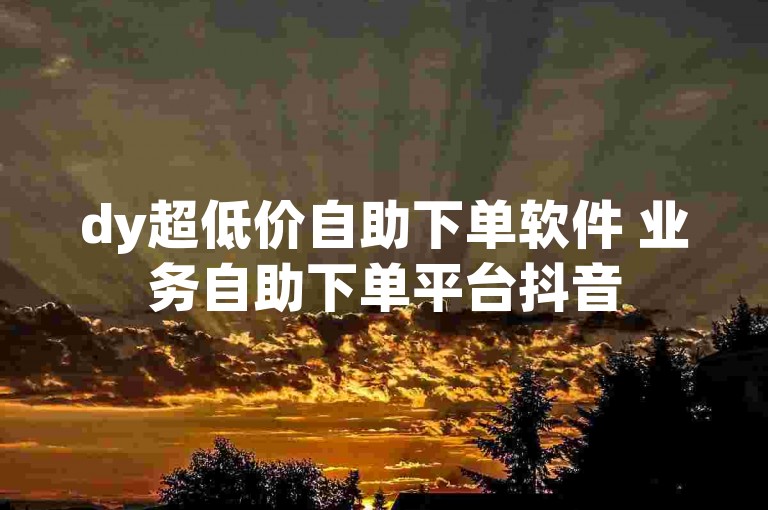dy超低价自助下单软件 业务自助下单平台抖音